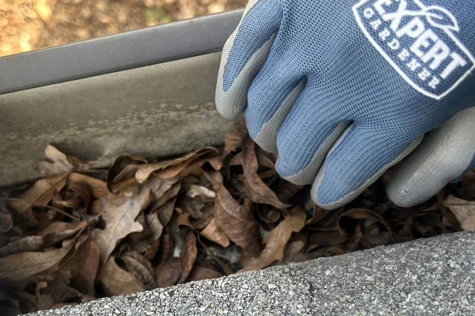 Gutter Cleaning Fayetteville NC